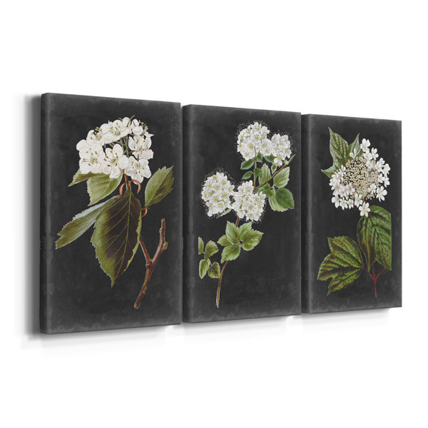 Laurel Foundry Modern Farmhouse Dramatic White Flowers I 3 Piece